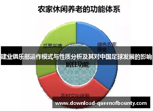 建业俱乐部运作模式与性质分析及其对中国足球发展的影响