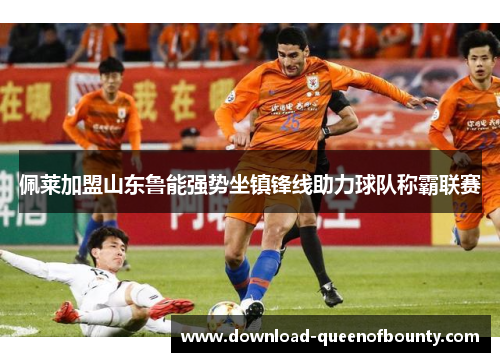 佩莱加盟山东鲁能强势坐镇锋线助力球队称霸联赛